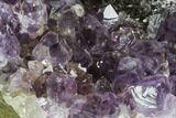 Unique, Purple Amethyst Cluster On Wood Base - Uruguay #99887-3